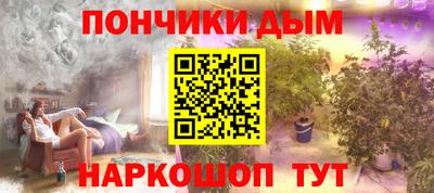 крисы Камышлов