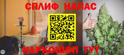 крисы Камышлов
