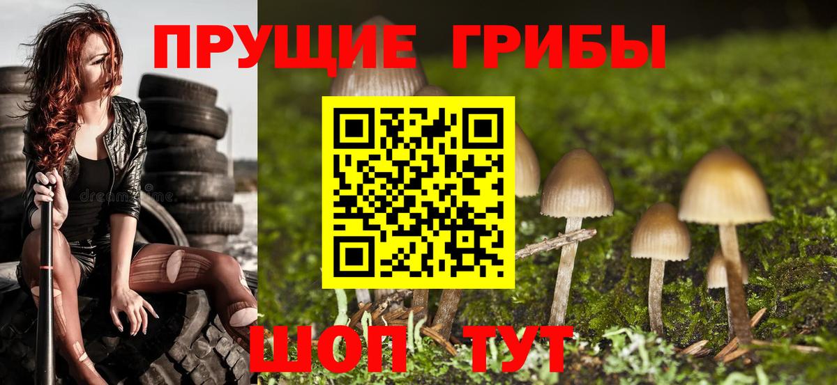 Галлюциногенные грибы GOLDEN TEACHER Казань