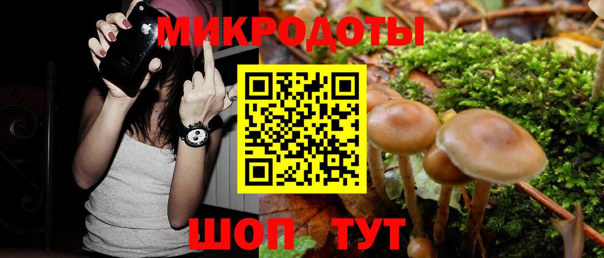 Казань  Псилоцибиновые грибы мицелий  Вход с VPN  Галлюциногенные грибы Magic Shrooms 